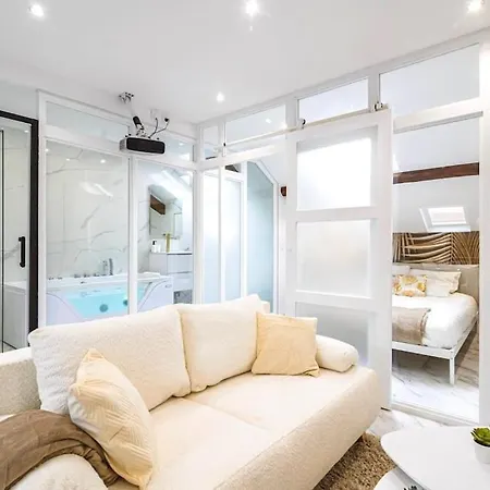 Balneo Hydromassage Et Retroprojecteur Apartment Reims