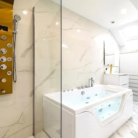 Apartment Balneo Hydromassage Et Retroprojecteur *