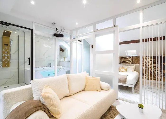 Balneo Hydromassage Et Retroprojecteur Lägenhet Reims